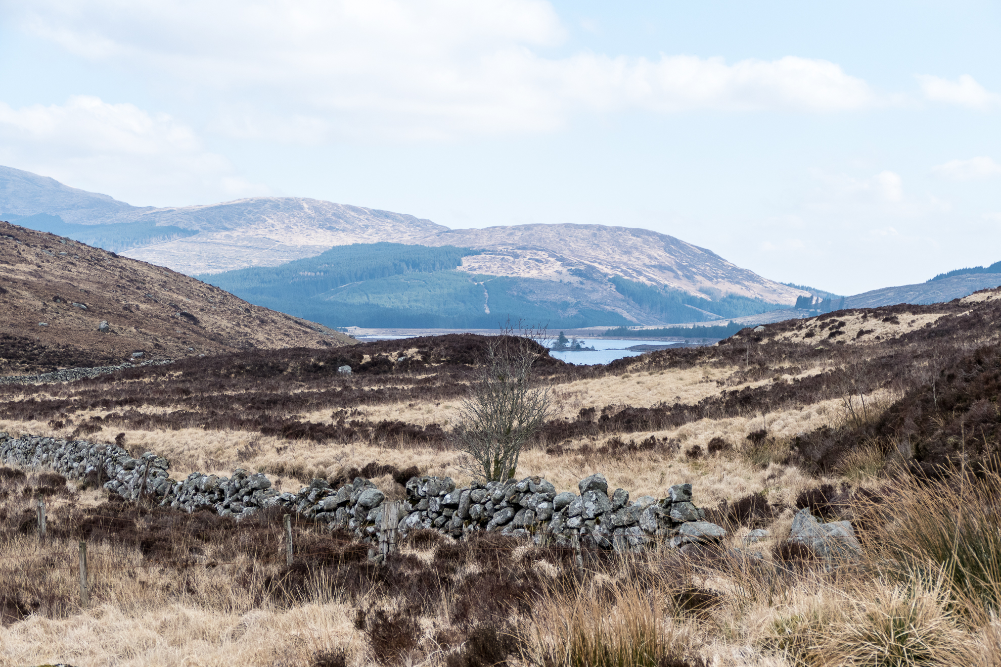 Loch Dee viewed from the Southern Upland Way in 2016