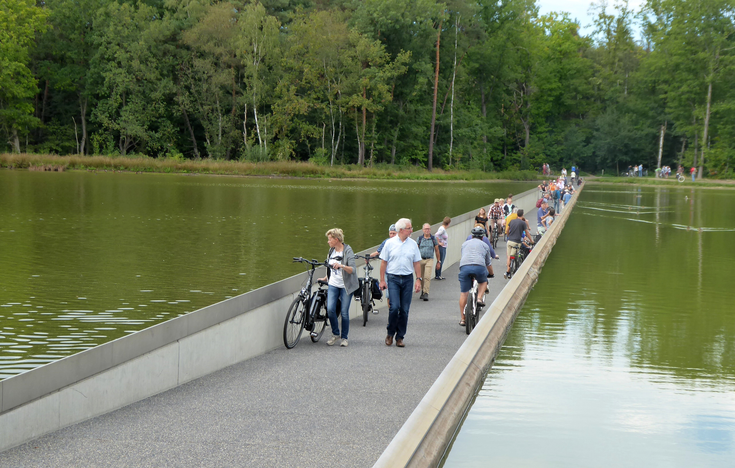 The cycle path through a pond in Bokrijk, photographed in September 2018.